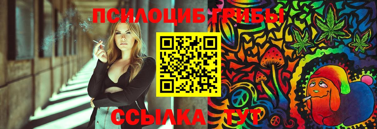 Славгород  Галлюциногенные грибы GOLDEN TEACHER  Вход с VPN 