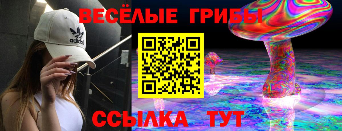 Псилоцибиновые грибы Cubensis Славгород